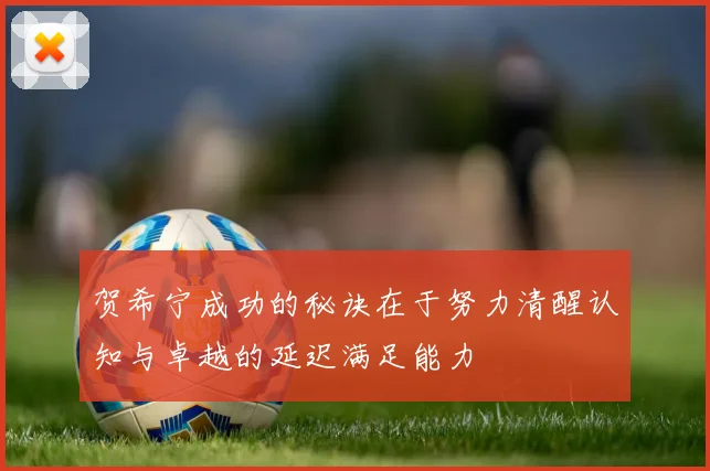 贺希宁成功的秘诀在于努力清醒认知与卓越的延迟满足能力